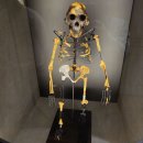 체코 국립박물관에서 320만년전의 Lucy를 만나다 이미지