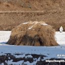 봉성리마을회관 이미지