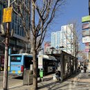 서면도서관 | 서면사과파이 서면디저트 서면카페맛집 서면디저트추천 서면내돈내산카페 서면두바이 서면두쫀쿠...