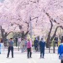 여의서로 이미지