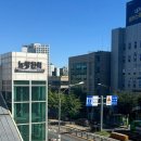 고명치킨 | 노량진 컵밥거리 맛집 추천 치킨카레떡볶이 가격 솔직한 후기