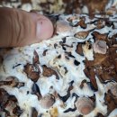 풍호농장 이미지