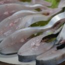 남도홍어마을 이미지