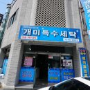개미세탁 이미지