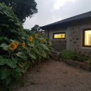 유리민박 이미지