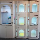 이자매펫미용원 이미지