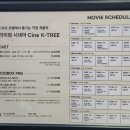케이트리