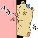 (주)유프리 이미지