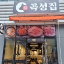 숯향 - 서구 | 숯향