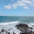 제주부리는횟집제주공항점 | 제주공항 근처 횟집 청해야 도민 추천 제주시 횟집