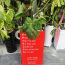 굽네치킨 여수웅천점 네이버블로그