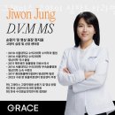 그레이스 고양이 심장&치과병원 이미지