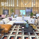 강아지집 | 강아지 키우는 집 소파추천 에싸 일산 플래그십스토어 후기