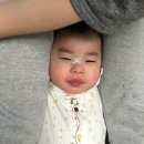 썬팅파티 이미지