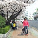 덕진구청 이미지
