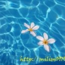 금낭화로26길 이미지