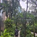 리움호텔 | 태국여행 엠포리움 스위트바이 챠트리움 호텔 후기 /근처 맛집