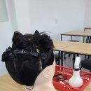 네일헤어, 처음 네이버블로그
