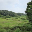 부윤보건진료소 이미지