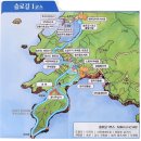 청산도의 느린여행 - 서편제,봄의왈츠(슬로길1코스) 이미지