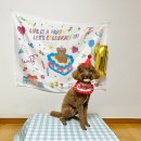 다독DADOG