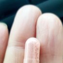 뉴트리코스트 비타민 B12 메틸코발라민 5000mcg 240정