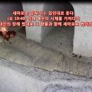 "장례식장에서 있었던 일" 로 지옥가야 한다..(지옥행 장례식) 이미지