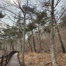 초원 숲속 야영장 이미지