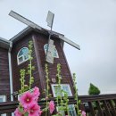 천수만회타운 | [서산펜션/서산독채펜션] 펜션파인씨 - 자연 속 힐링 독채펜션 추천