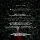모올린뷰티