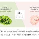 착한성분 수분촉촉 에스팀에상스 크렘 폰당