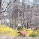 독산공원 이미지