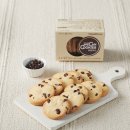 디살디죽 커몬 이미지