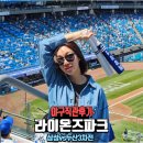 삼성파크 | 대구 삼성 라이온즈파크 야구 직관후기