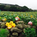 풍림농원 이미지