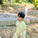 무양공원 놀이터(무양) 이미지