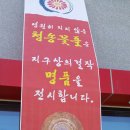 청송꽃돌