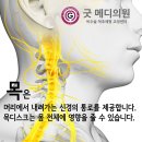 잠실바른정형외과의원 이미지
