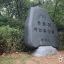 용봉산자연휴양림 이미지
