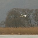 경안천 4 이미지