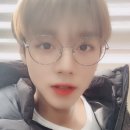 모이세 이미지