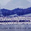 백호태권도체육관 이미지