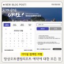 푸른바다PC | 망상오토캠핑리조트 예약 방법 총정리 동해 바다 캠핑 인기 명소 예약꿀팁 예약방법 성수기 취소 수수료...