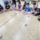 인천만월초등학교 이미지