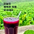 파리의상실 이미지