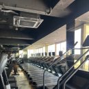 피트니스 씨씨 | 쾌적함 끝판왕! 수택동 헬스장 피트니스 씨씨 후기