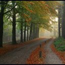 사랑-동행 이미지