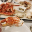 대게먹방 | 고성 승화네크랩보트 델피노점 대게 랍스터 세트 먹방 후기