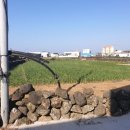 동일1리 복지회관 이미지