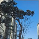 노원-현장-1033 | 고산수자인 &amp; 고산유명한공인중개사사무소 경험담, 의정부 고산지구에서 살아본다면?